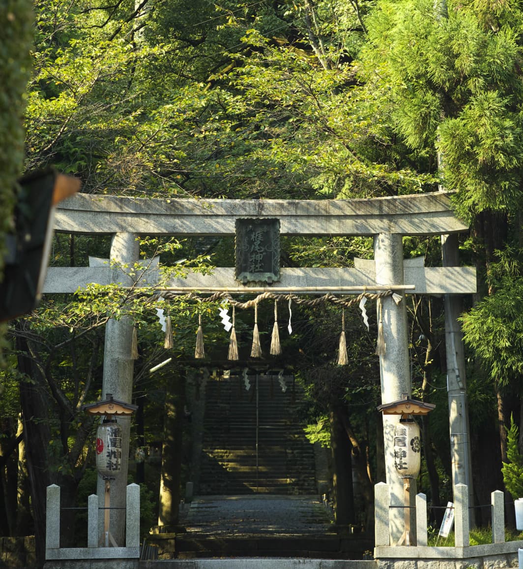 Acquire Japan
Experience Pass