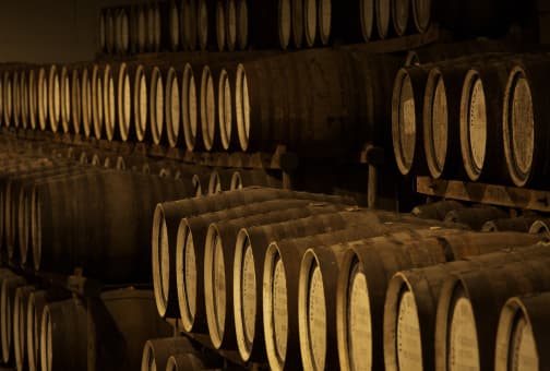 THE HEART
OF
SAKAZUKI